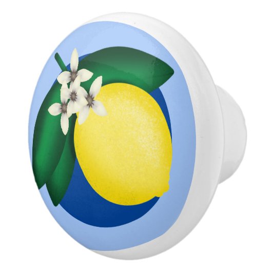 Bouton De Porte En Céramique Fleur de citron (Droite)