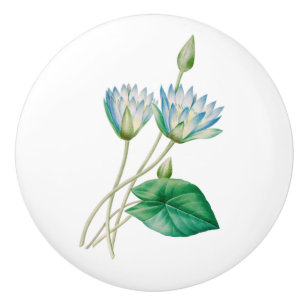 Bouton De Porte En Céramique Fleur de lotus égyptienne vintage