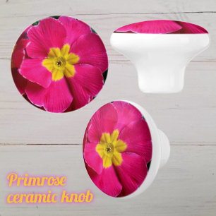 Bouton De Porte En Céramique Fleur de primmrose rose et jaune clair