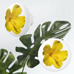 Bouton De Porte En Céramique Fleur d'Hibiscus Jaune Botanique Photographique