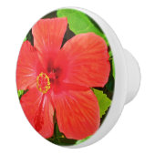 Bouton De Porte En Céramique Fleur d'Hibiscus tropical (Droite)