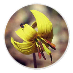 Bouton De Porte En Céramique Fleur Lily De Truite Sauvage Et Ami D'Insecte