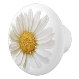 Bouton De Porte En Céramique Fleur marguerite blanche sur Arrière - plan blanc