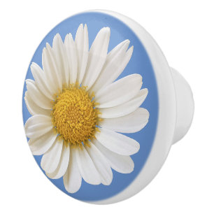 Bouton De Porte En Céramique Fleur marguerite blanche sur Arrière - plan bleu