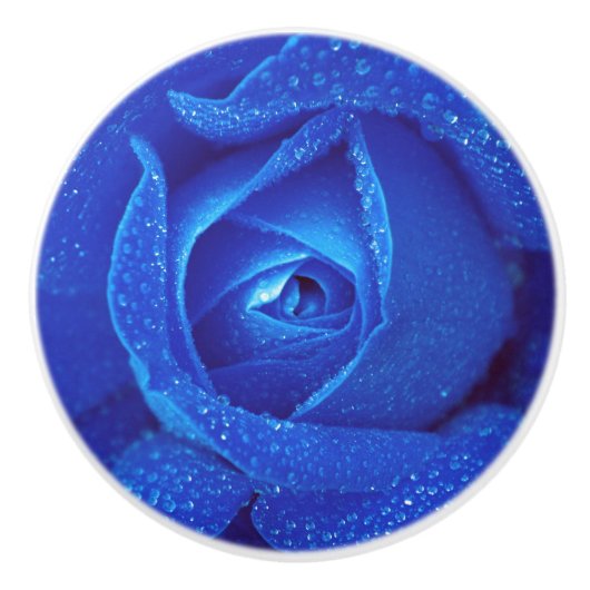Bouton De Porte En Céramique Fleur rose bleu élégant (Devant)