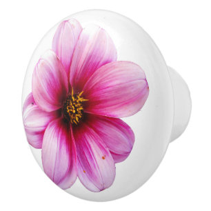 Bouton De Porte En Céramique Fleur rose botanique de dahlia sur toute couleur