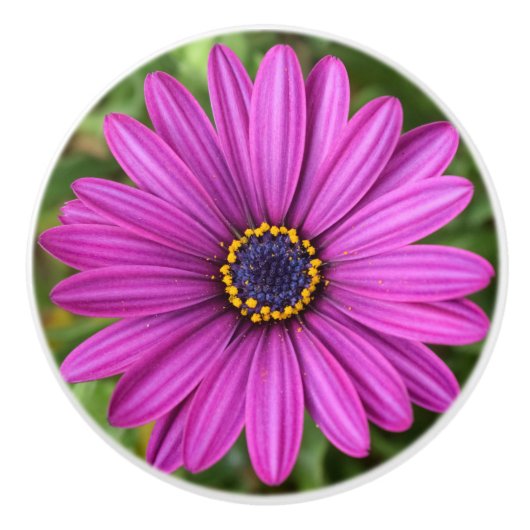 Bouton De Porte En Céramique Fleur violette parfaite (Devant)