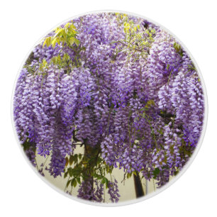 Bouton De Porte En Céramique Fleurs de bisteria violet