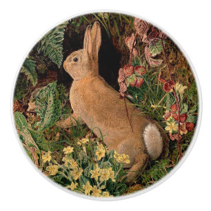 Bouton De Porte En Céramique Fleurs de lapin lapin fougères vintage printemps