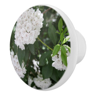 Bouton De Porte En Céramique Fleurs de laurier blanc