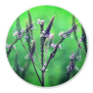 Bouton De Porte En Céramique Fleurs de Vervain sauvages