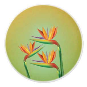 Bouton De Porte En Céramique Fleurs Florales Tropicales de l'Oiseau de Paradis