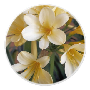 BOUTON DE PORTE EN CÉRAMIQUE FLEURS JAUNES