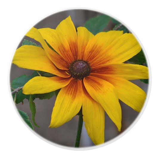 Bouton De Porte En Céramique Flower Ceramic Knob (Devant)