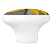 Bouton De Porte En Céramique Flower Ceramic Knob (Côté)