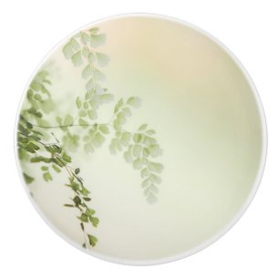 Bouton De Porte En Céramique Foliage de printemps