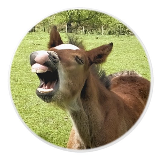 BOUTON DE PORTE EN CÉRAMIQUE FOLIER CUIT (Devant)