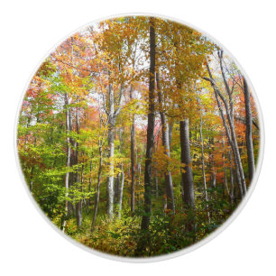 Bouton De Porte En Céramique Forêt d'automne I Photographie de paysage automnal