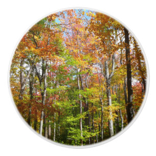 Bouton De Porte En Céramique Forêt d'automne II Photographie de paysage automna