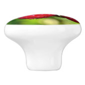 Bouton De Porte En Céramique Framboise (Côté)