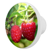 Bouton De Porte En Céramique Framboise (Droite)