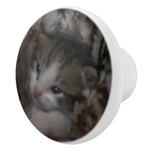 Bouton De Porte En Céramique Freddie