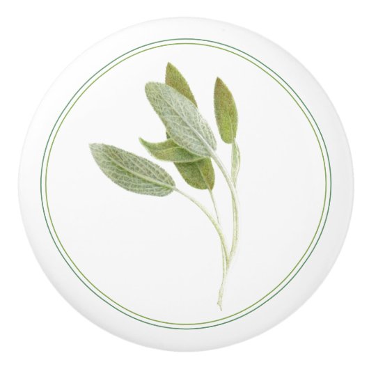 Bouton De Porte En Céramique FROID en céramique à la SAGE FRAÎCHE (Devant)