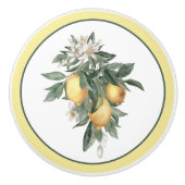 Bouton De Porte En Céramique Fruit au citron rond  (Devant)