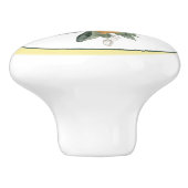 Bouton De Porte En Céramique Fruit au citron rond  (Côté)