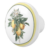 Bouton De Porte En Céramique Fruit au citron rond  (Droite)