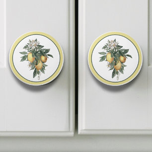 Bouton De Porte En Céramique Fruit au citron rond 