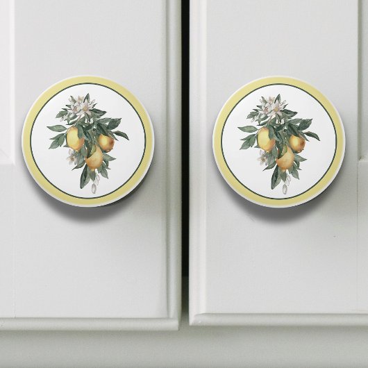 Bouton De Porte En Céramique Fruit au citron rond 
