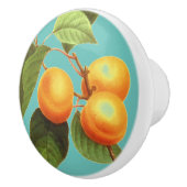 Bouton De Porte En Céramique Fruit de pêche (Droite)