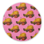 Bouton De Porte En Céramique Fruits (Devant)