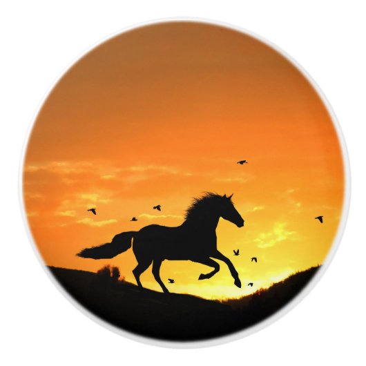 Bouton De Porte En Céramique Fun Runse Horse Knobs et Pulls (Devant)