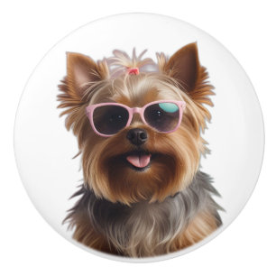 Bouton De Porte En Céramique Funny Yorkshire Terrier Avec Lunettes De Soleil