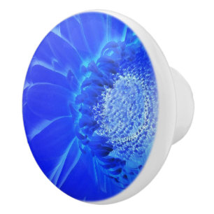 Bouton De Porte En Céramique gerbera bleu électrique