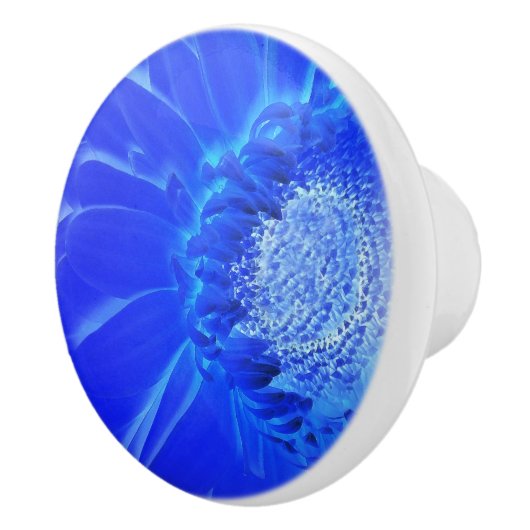 Bouton De Porte En Céramique gerbera bleu électrique (Droite)