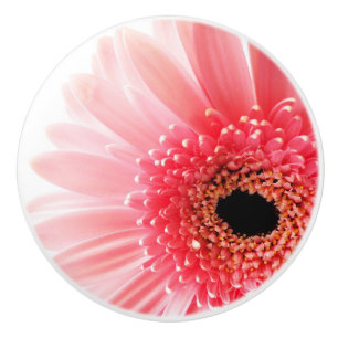 Bouton De Porte En Céramique Gerbera Rose Daisy