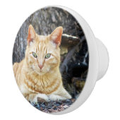 Bouton De Porte En Céramique Ginger Boy (Droite)