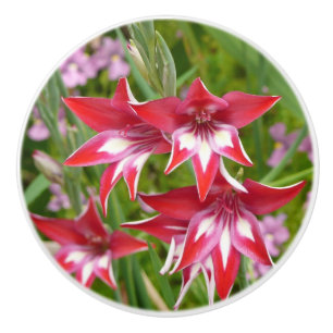 Bouton De Porte En Céramique Glaïeuls Rouges et Blancs Plante Botanique d'Été
