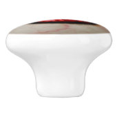 Bouton De Porte En Céramique Globe oculaire éffrayant (Côté)