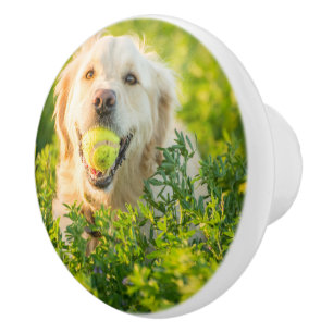 Bouton De Porte En Céramique Golden Retriever avec balle de tennis