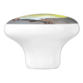 Bouton De Porte En Céramique Goldfinch (Côté)