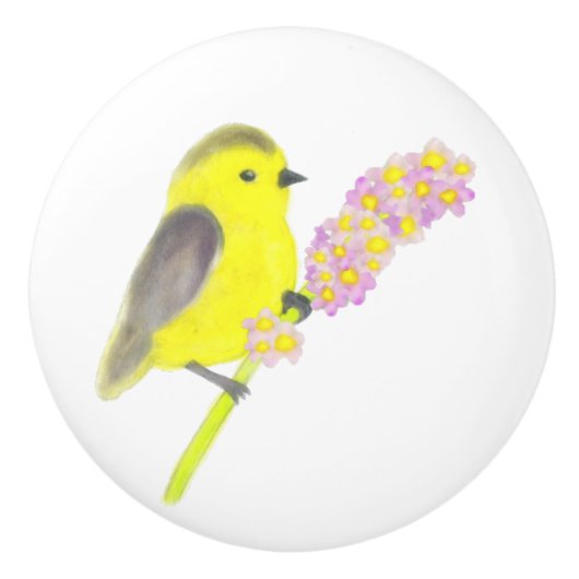 Bouton De Porte En Céramique Goldfinch (Devant)