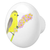 Bouton De Porte En Céramique Goldfinch (Droite)