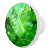 Bouton De Porte En Céramique Green feuille Palm Leaf feuillage tropical jungle (Droite)