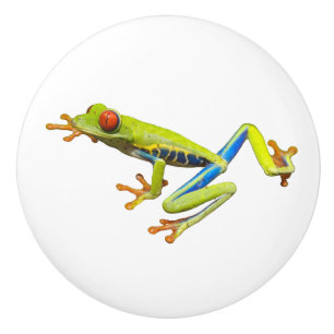 Bouton De Porte En Céramique Grenouille des arbres
