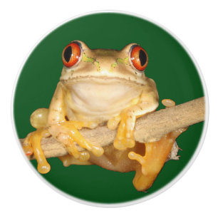 Bouton De Porte En Céramique Grenouille des arbres