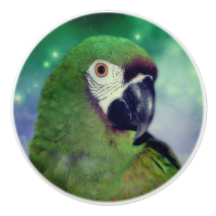 Bouton De Porte En Céramique Gros Parrot Macaw